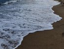 Детей из Татарстана могут отправить на отдых в Анапу, несмотря на ситуацию с экологией