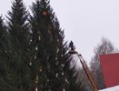 В Челнах украсили еще одну елку к Новому году