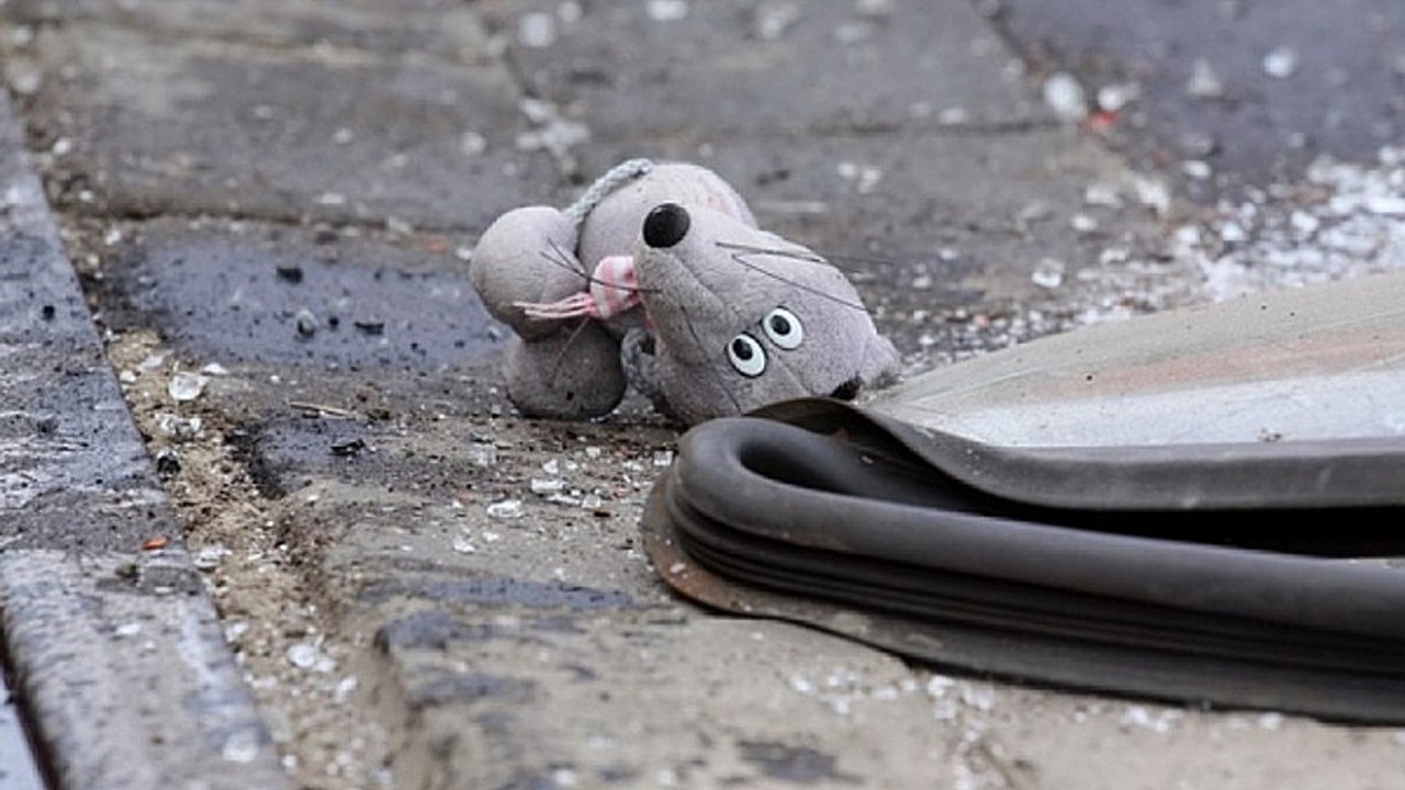 Главная картинка новости: В Татарстане на дороге сбили девочку 14 лет 