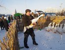 С завтрашнего дня стартуют ярмарки «Новогодний гусь»