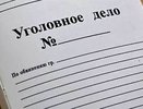 Следком по факту гибели детей на пожаре возбудил уголовное дело
