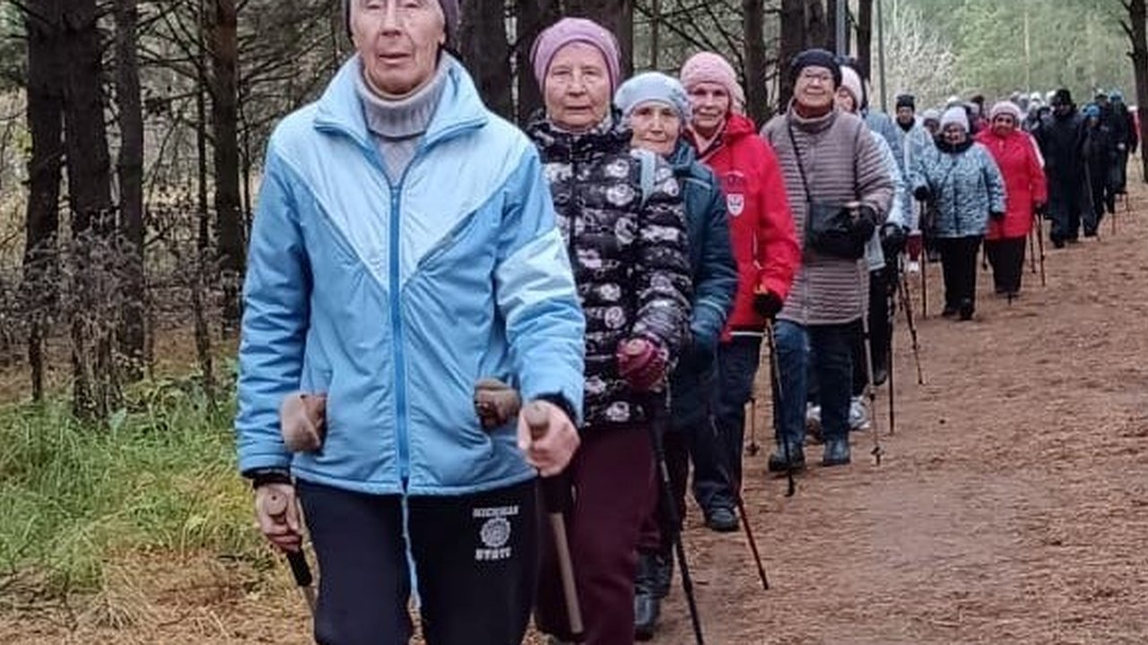 Главная картинка новости: Школа для тех, кому за: в Челнах пенсионеров учат, как быть здоровыми