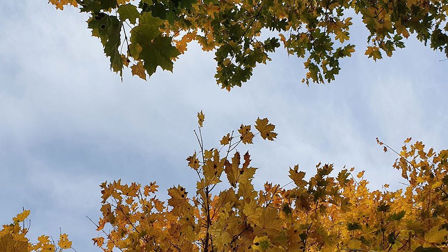 Главная картинка новости: Татарстанцам до октября обещают теплую погоду – на 7 градусов выше нормы 