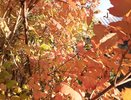 Одеваемся теплее: на Татарстан надвигаются активные североатлантические циклоны