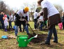 23 апреля в Челнах состоится общегородской субботник