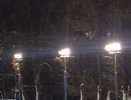 В Челнах обновят более 2 тысяч уличных светильников