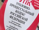 Житель Челнов получил 1,5 года «строгача» за кражу бутылки мартини