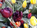 За кражу духов 8 марта жителя Челнов отправили в колонию