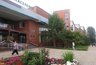 Миниатюра новости: Центр занятости станет Кадровым центром
