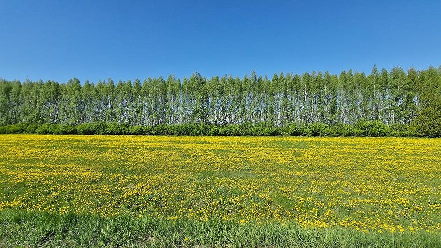 Главная картинка новости: В Татарстане в ближайшие дни потеплеет до плюс 23 градусов
