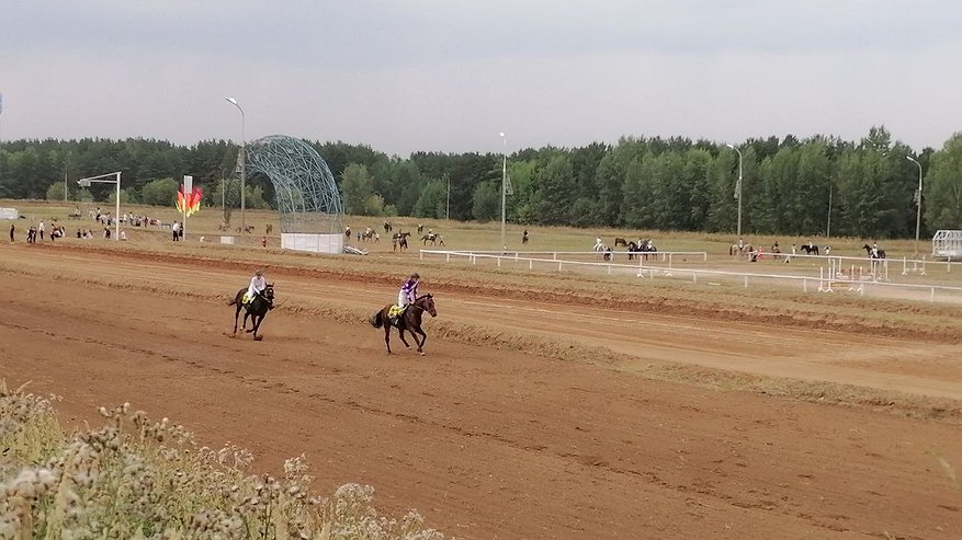 Главная картинка новости: На Сабантуе в Челнах выступит Салават Фатхутдинов