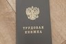 Миниатюра новости: В Челнах строительную фирму осудили за незаконное трудоустройство мигрантов