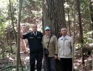 В Татарстане есть дуб, который живет уже два века