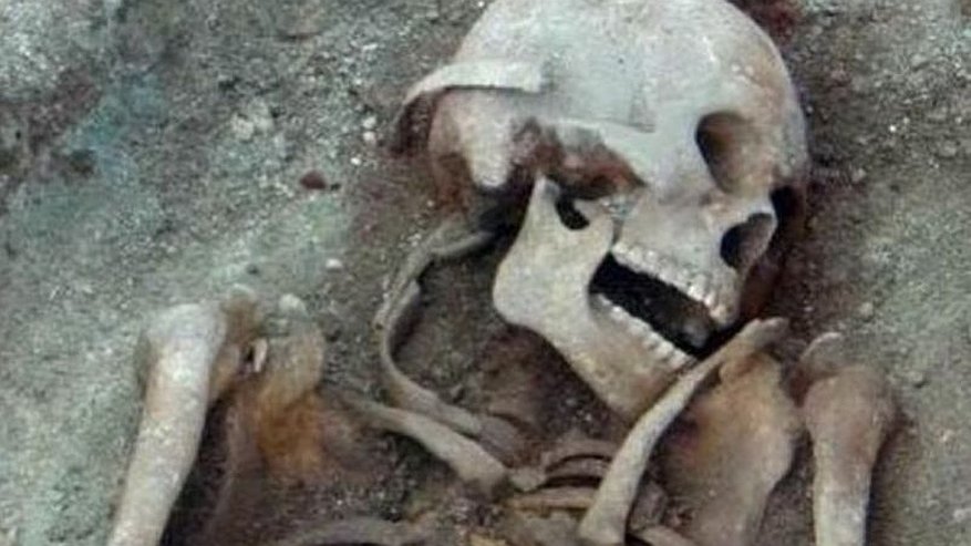 Главная картинка новости: Найден неизвестный скелет около заброшенного храма в Татарстане