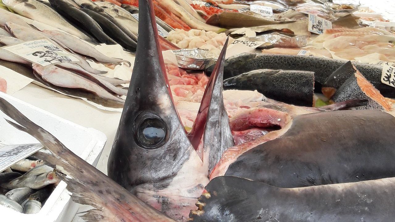 Главная картинка новости: В Челнах обновят ярмарочные площадки на «Строителе» и ипподроме