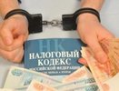 В Челнах фирма скрыла от налоговой 112 млн рублей