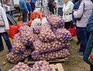 На ярмарки Челнов завезли свыше 912 тонн продукции