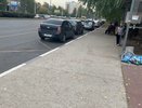 «Где парковаться автобусам, особенно большим, на зебре?»