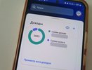 В Татарстане 5,4 тыс. человек зарабатывают более 5 млн рублей в год