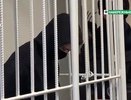 Точка в громком деле: сын топ-менеджера «КАМАЗа» получил 13 лет колонии