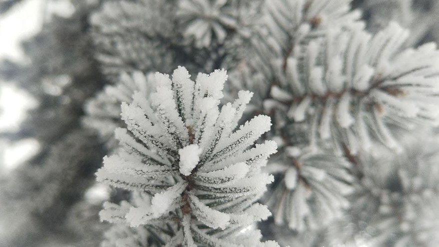 Главная картинка новости: Жителей Татарстана предупредили о сильном тумане