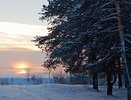 Ближе к выходным снег, метель, сильный ветер