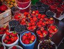 К каким ягодам нужно относиться с осторожностью?