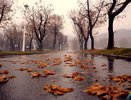 Пока, теплая осень: в Татарстане погода ухудшается
