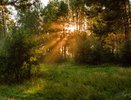 И вновь в Татарстане объявлено штормовое предупреждение