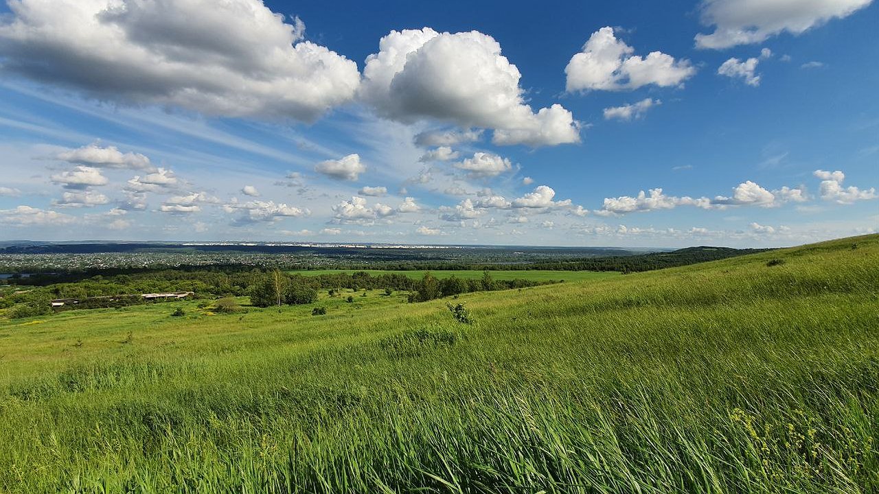 Главная картинка новости: Бастрыкин потребовал разобраться с нарушением прав многодетных семей в Челнах
