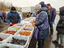 На этой неделе в Челнах начнут работу сельхозярмарки
