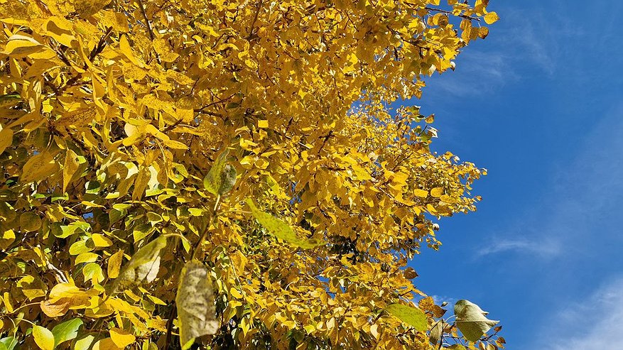 Главная картинка новости: В Татарстане потеплеет до плюс 13 градусов