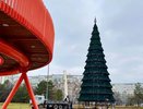 В Челнах собрали главную елку за 40 дней до Нового года