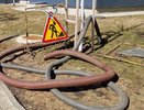 В Челнах в подвале дома обнаружили блох 