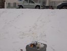 «Грязновато для города европейского формата»