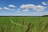 Миниатюра новости: В Татарстан вернется жаркая погода
