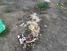 В Челнах сотрудники магазина вываливают просрочку на детскую площадку