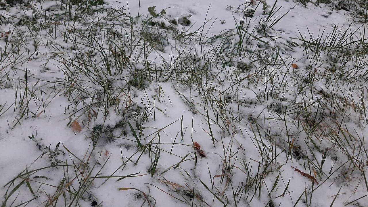 Главная картинка новости: Валенки или резиновые сапоги? Стало известно, какой будет погода в выходные