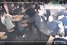 Миниатюра новости: В челнинском баре избили народного артиста РТ