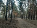 Вскоре парк Прибрежный изменится до неузнаваемости 