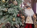 Каждый второй житель Челнов превысил бюджет на празднование Нового года