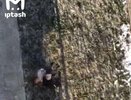 Девочка, которая выпрыгнула из окна школы, поспорила с одноклассниками