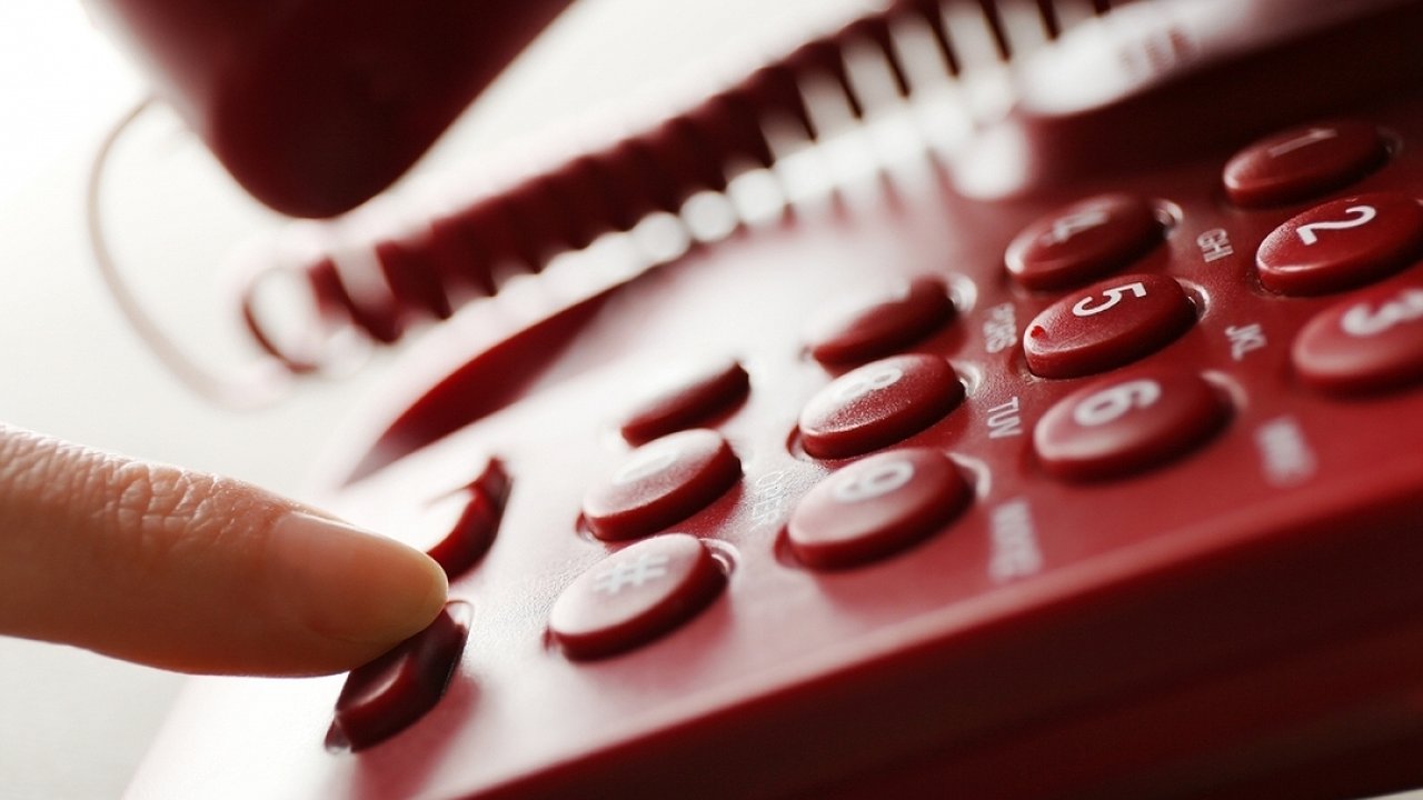 Главная картинка новости: Следком запустит горячую линию для участников специальной военной операции, мобилизованных и членов их семей