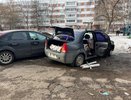 Спиленные в 25 комплексе Челнов березы начали разбирать на дрова жильцы близлежащих домов