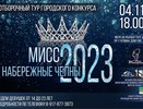 В Челнах за титул королевы соревнуются самые красивые девушки