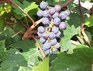 Ура, бабье лето! Хорошая погода никуда не уходит!