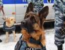 Пытались провезти через Челны более 4 кг наркотиков