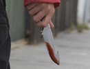 Житель Карелии сломал нож в попытке убить жертву и ушел искать другой