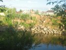 Под Челнами может появиться природный парк