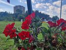 Выходные в Челнах: куда пойти 30, 31 августа и 1 сентября